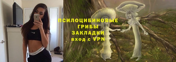 крисы Магас