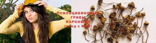 мескалин Магадан