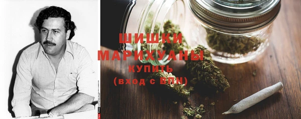 крисы Магас