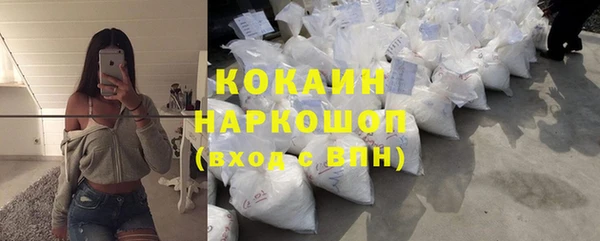крисы Магас