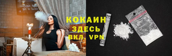 крисы Магас