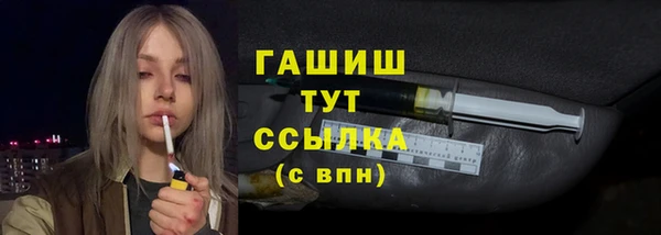 крисы Магас